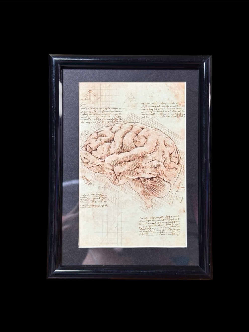 Anatomical Brain Sketch Framed Art Print – 5x7 | Vintage Dark Academia Décor